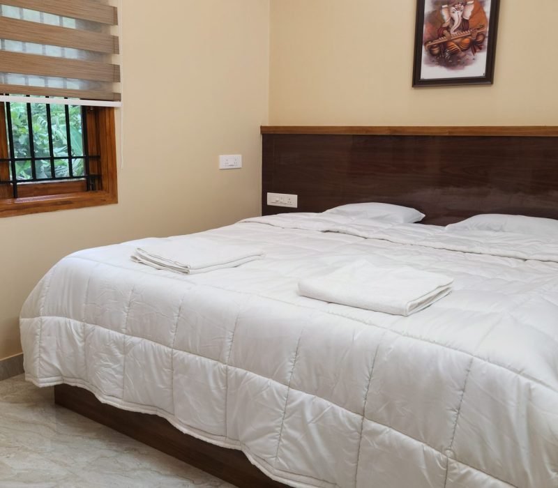 Deluxe double room with AC at Vishaka INN Home Stay